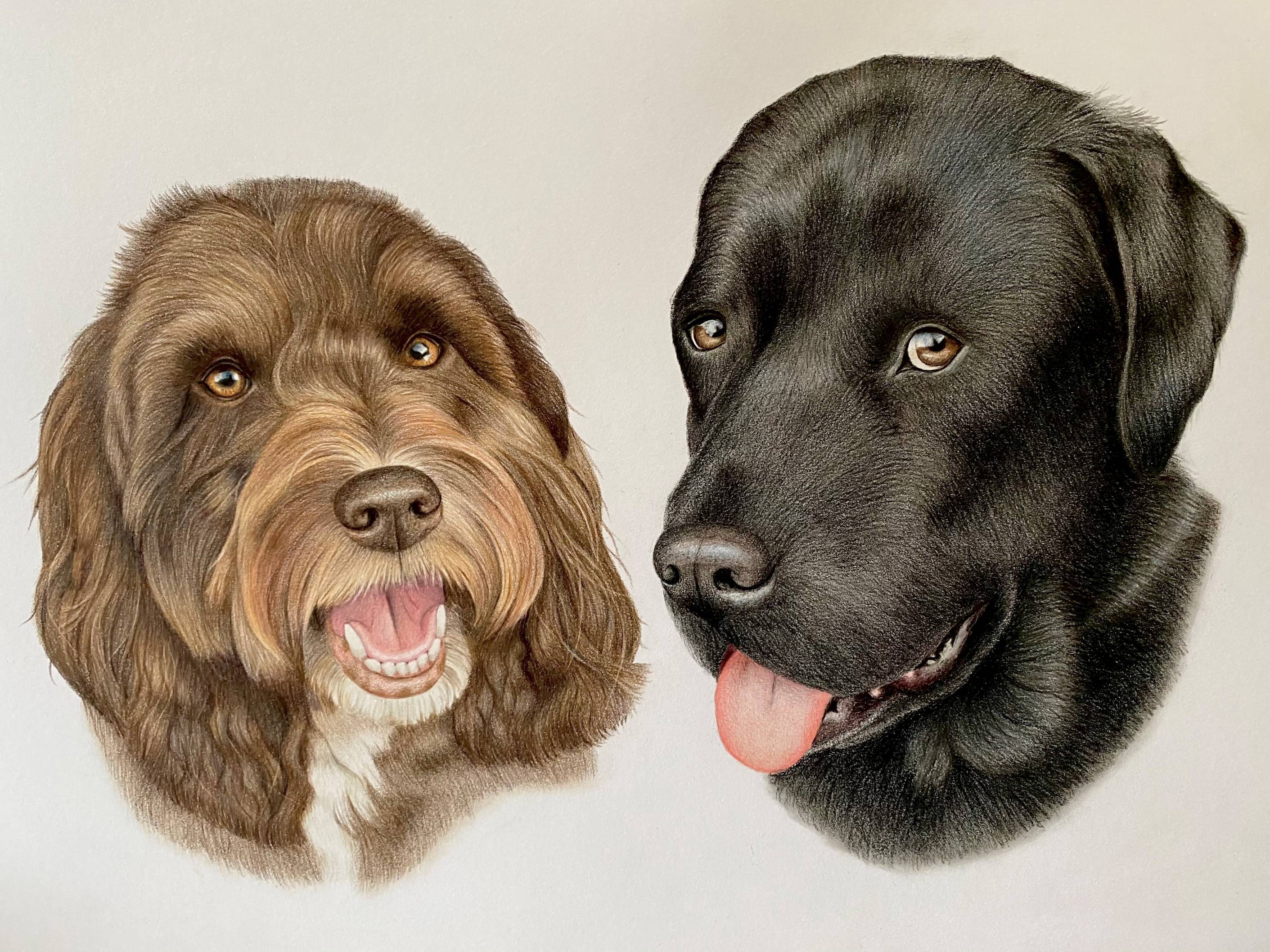 Chester & Barney small