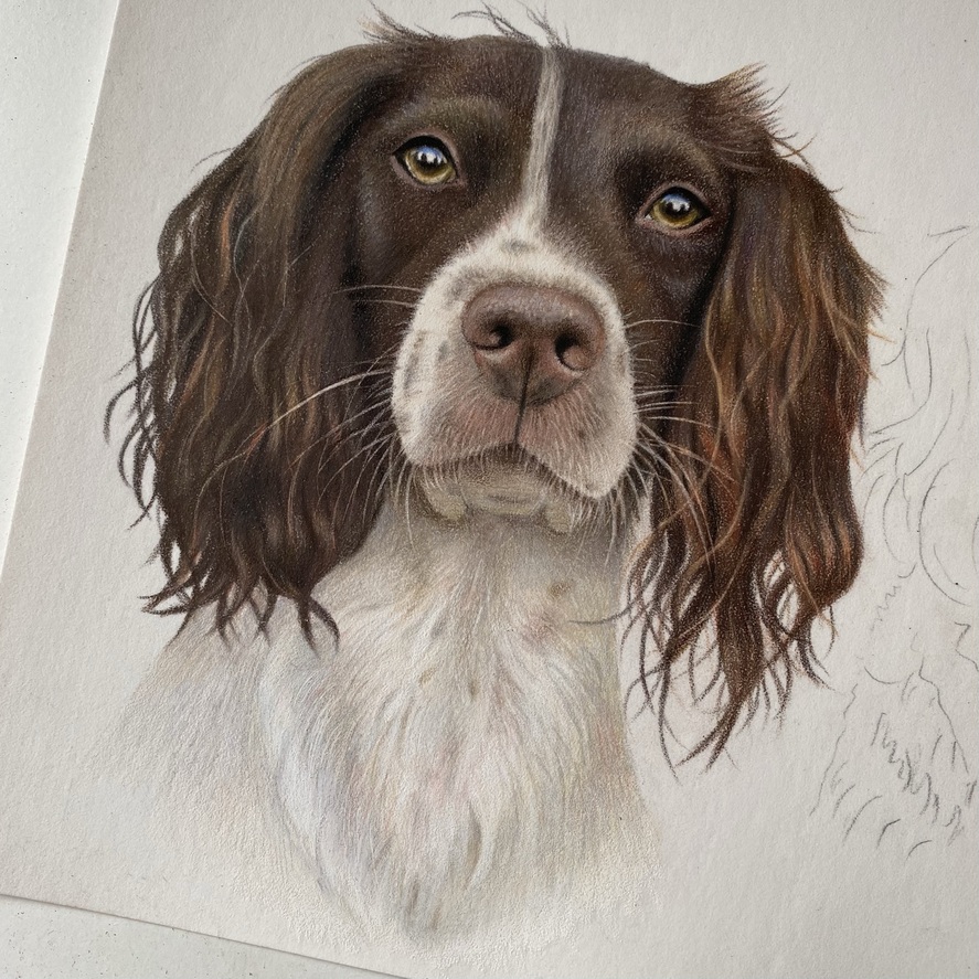 2D72F757-055C-48CF-91E8-32E112A9C69F