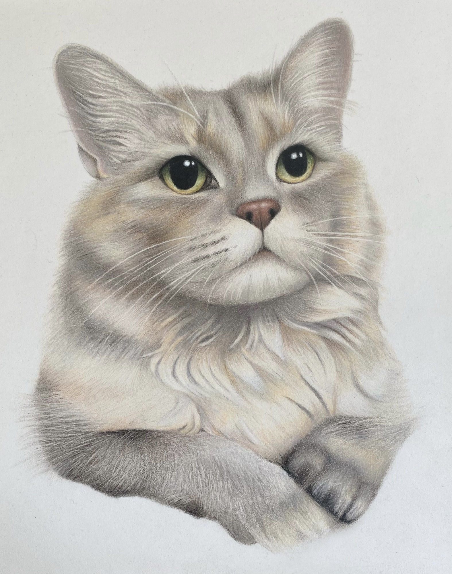 {"subsource":"done_button","uid":"6AFF4993-F4FC-418D-B1CB-3E8F33A04AF0_1617208985128","source":"other","origin":"gallery","source_sid":"6AFF4993-F4FC-418D-B1CB-3E8F33A04AF0_1617208985145"}