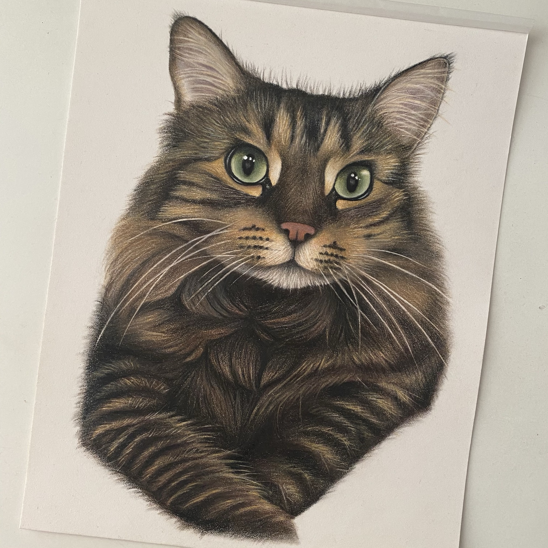 A9C57272-99B6-4BF3-AF66-8BF908F2D328