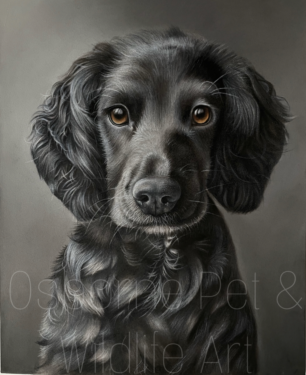 EA263C8C-0204-4235-ACAE-C3DF05D00C29