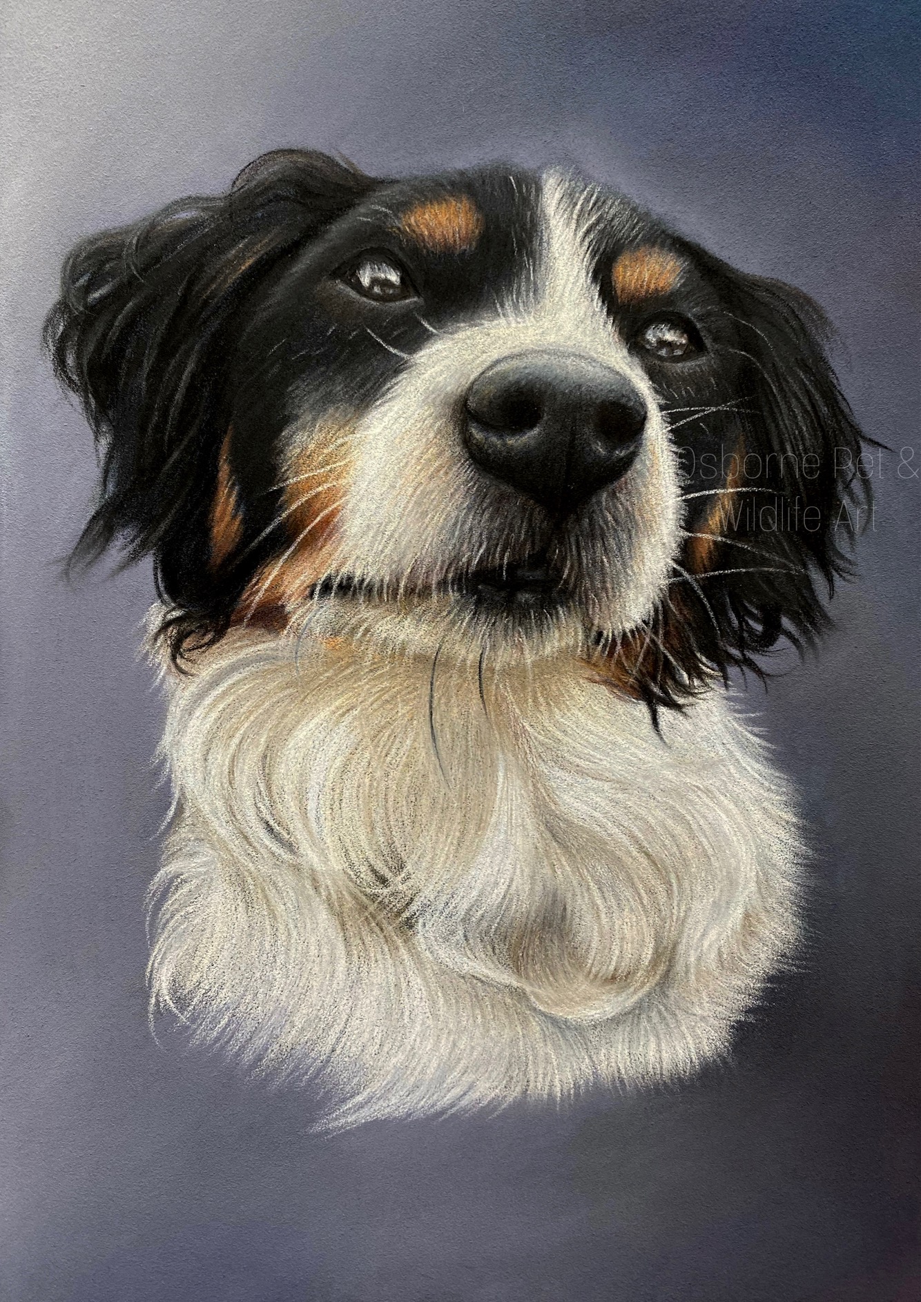 {"subsource":"done_button","uid":"6AFF4993-F4FC-418D-B1CB-3E8F33A04AF0_1628256439708","source":"share_action_sheet","origin":"gallery","source_sid":"6AFF4993-F4FC-418D-B1CB-3E8F33A04AF0_1628256440200"}