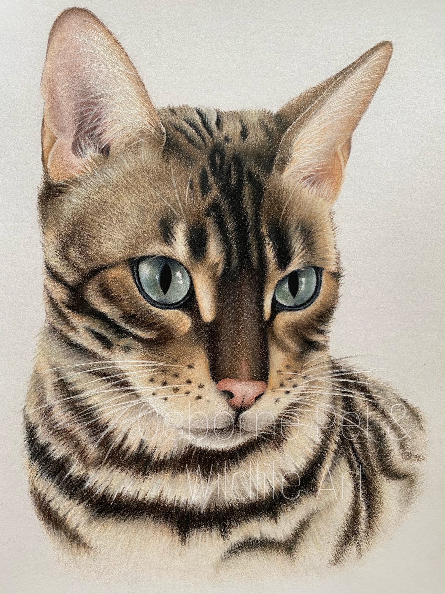 {"source_sid":"6AFF4993-F4FC-418D-B1CB-3E8F33A04AF0_1628332051198","subsource":"done_button","uid":"6AFF4993-F4FC-418D-B1CB-3E8F33A04AF0_1628332050718","source":"other","origin":"gallery"}