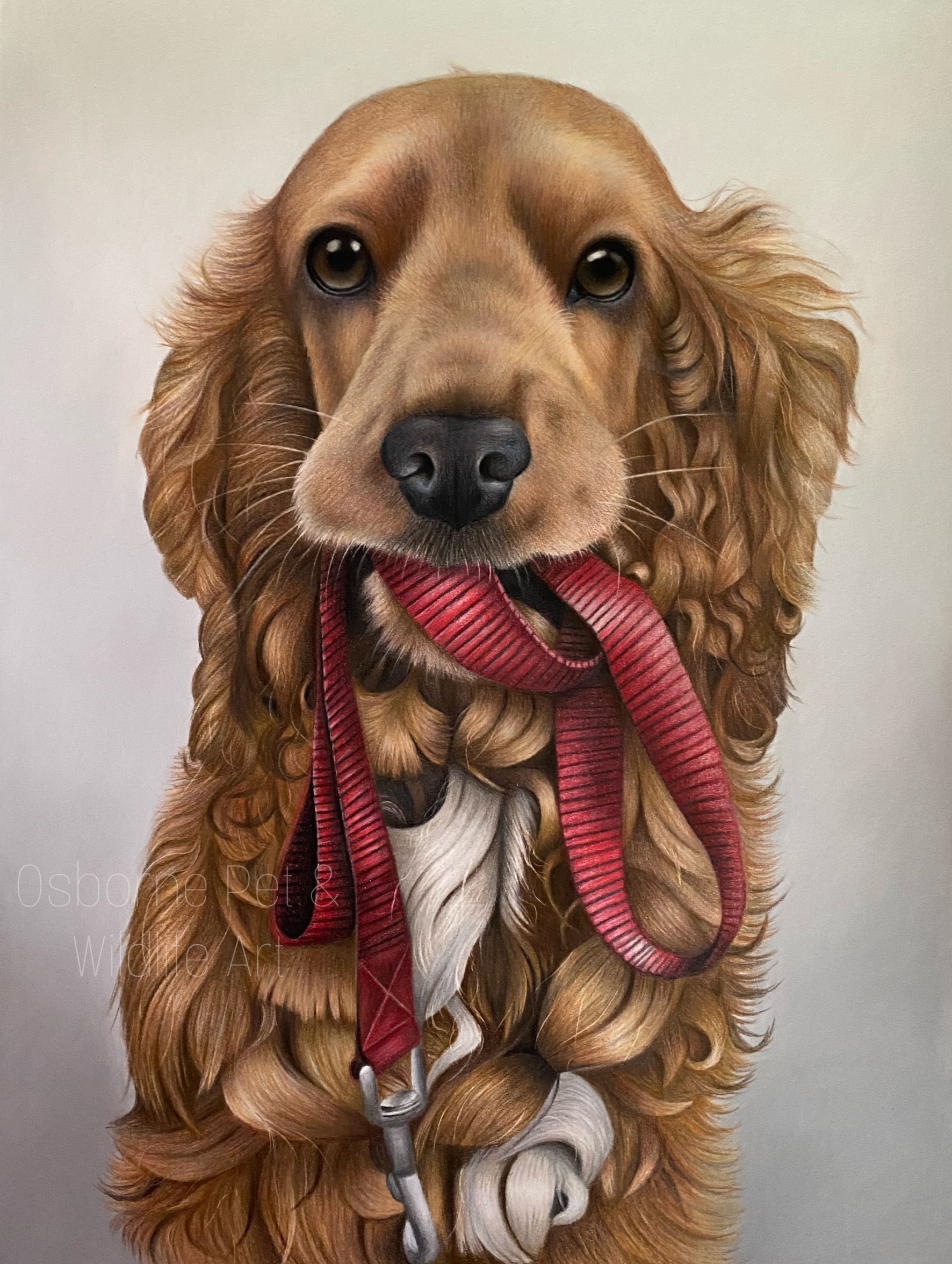 E07FE7DA-7007-4E5F-A9C2-33A321F5FF6C