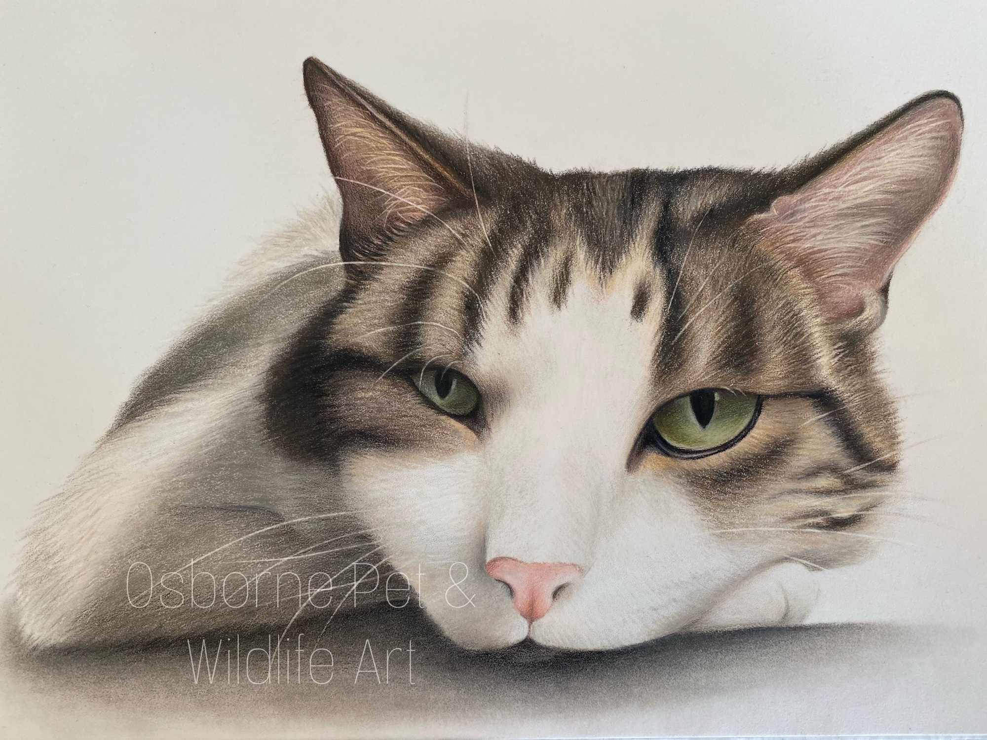 {"source_sid":"6AFF4993-F4FC-418D-B1CB-3E8F33A04AF0_1628331161844","subsource":"done_button","uid":"6AFF4993-F4FC-418D-B1CB-3E8F33A04AF0_1628331161443","source":"other","origin":"gallery"}