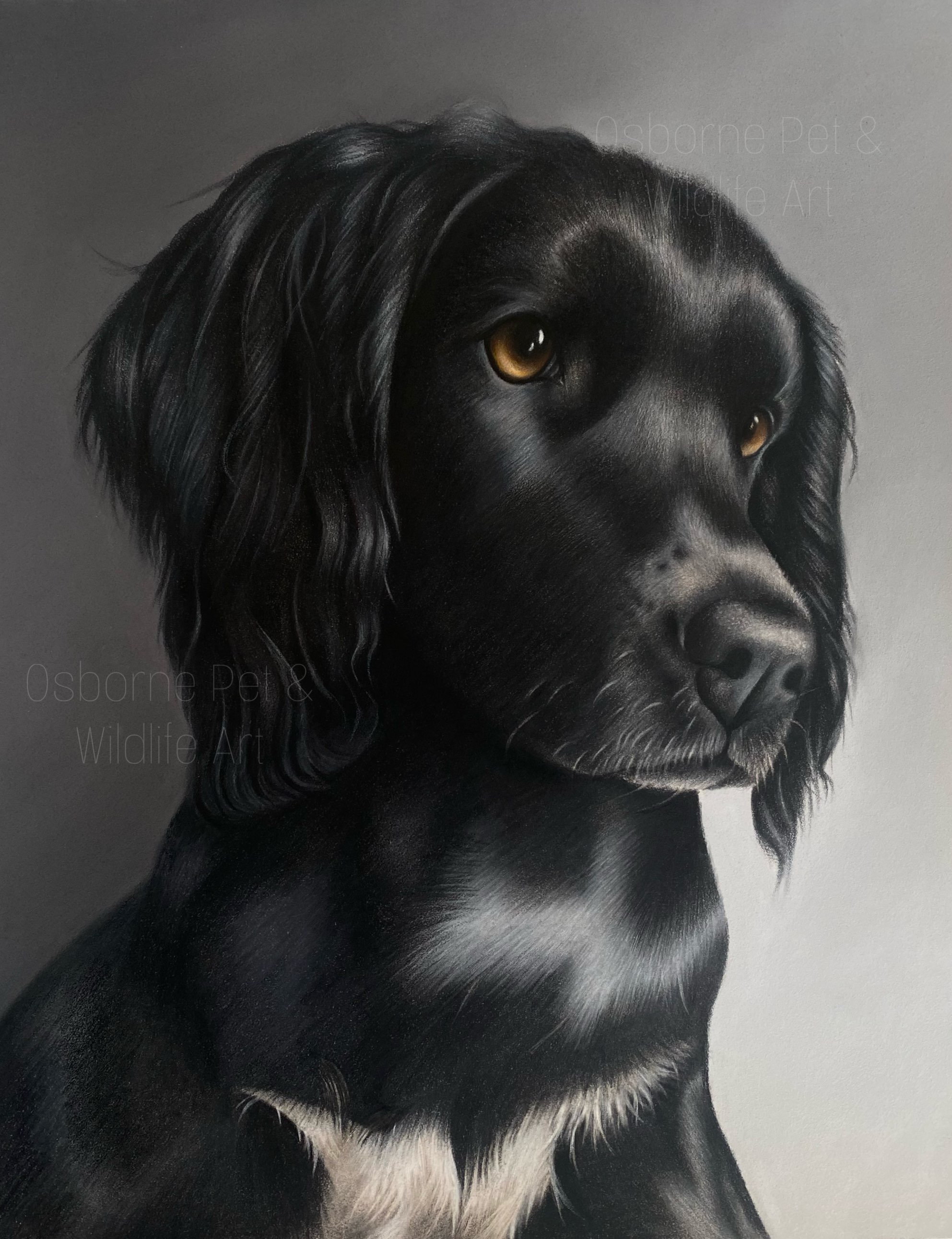 6CCDED8D-1CD4-4760-AB35-623B06EB405E