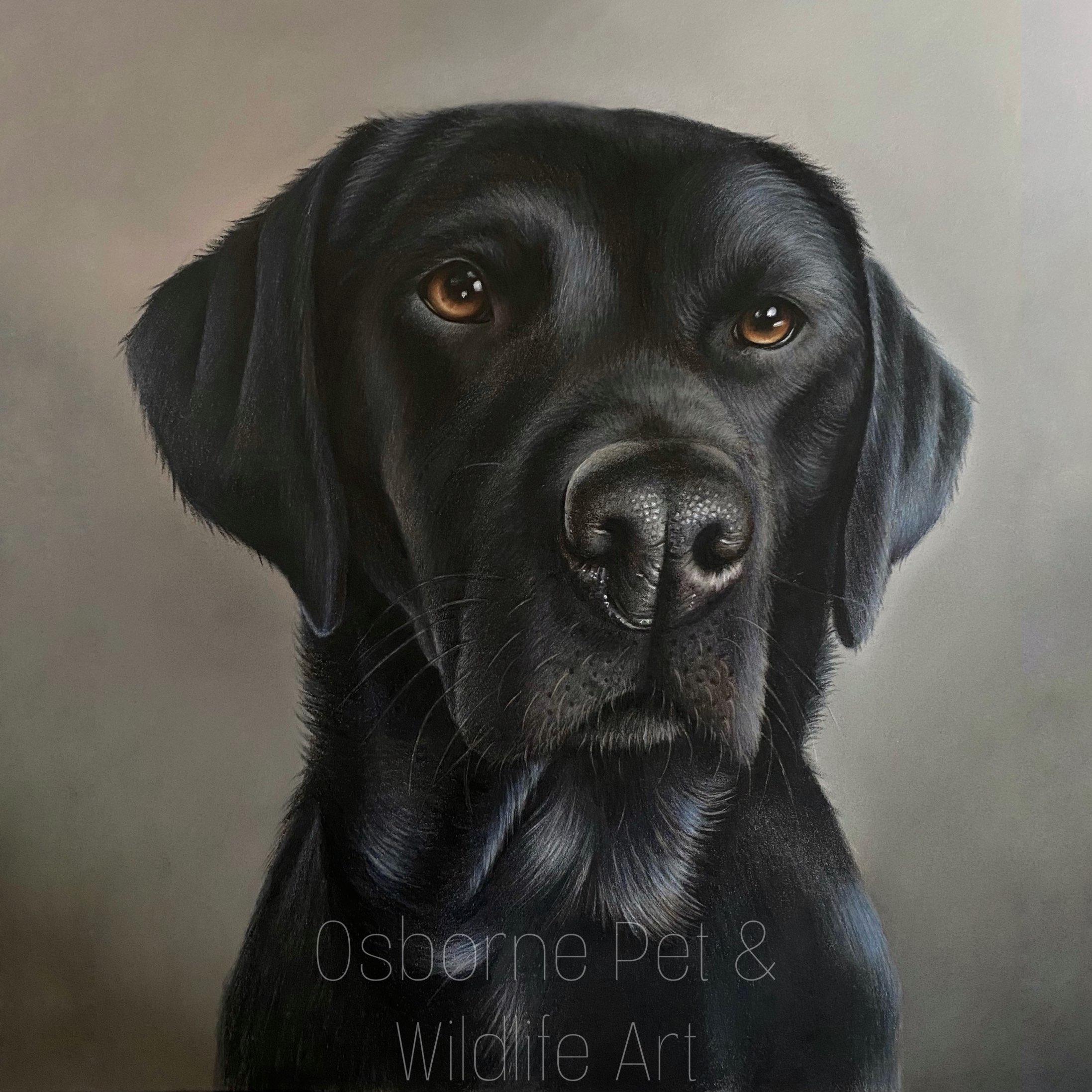 5E18494E-45C0-417C-8E59-A601B3B59E09