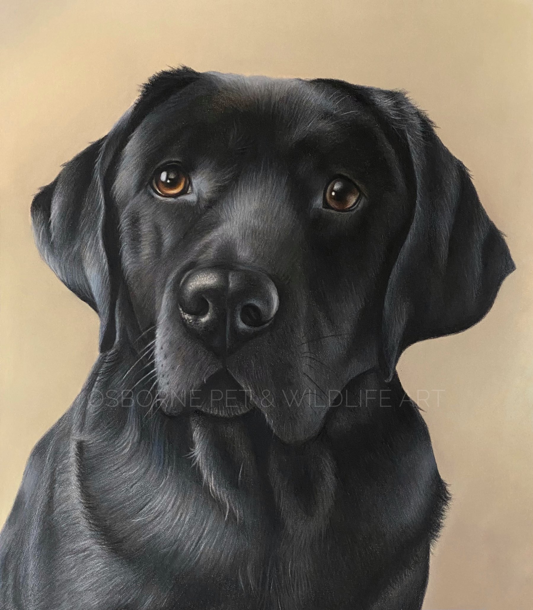 6F7A34BC-196D-4CDE-9284-AEAA5D12BBEE