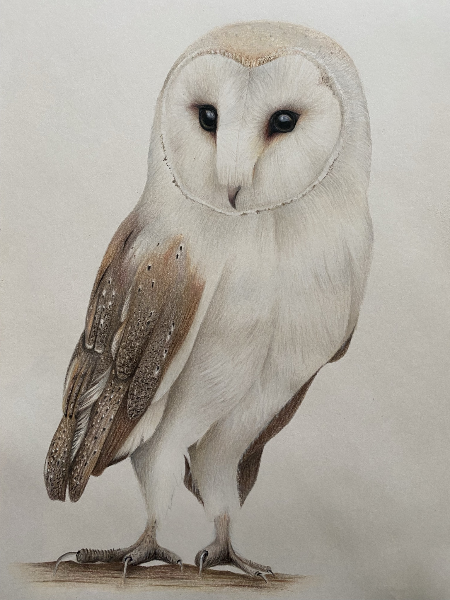 FB3A48C8-D0AD-4E05-96B5-27C06D6555B3