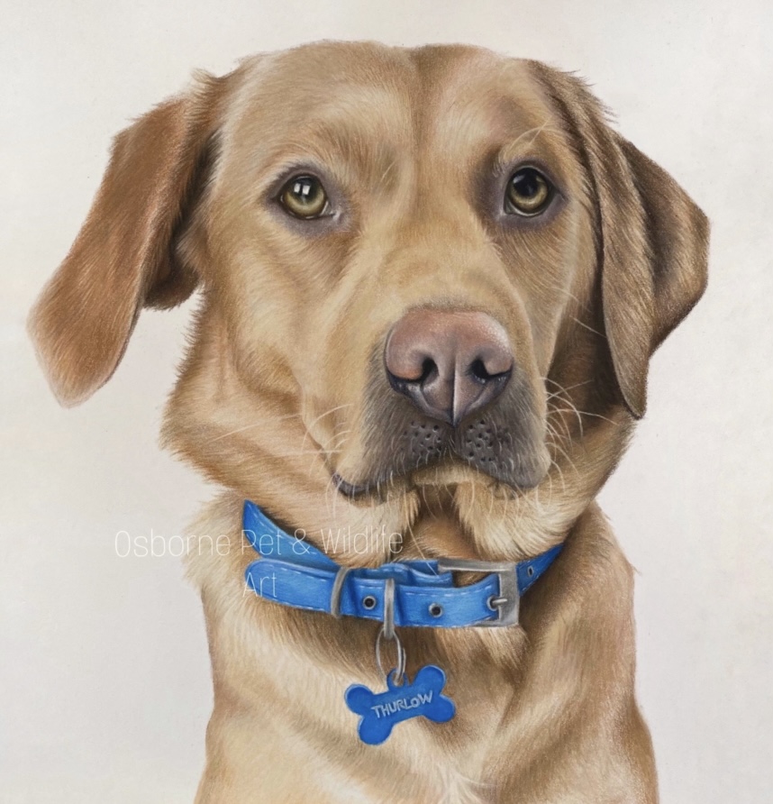 06F9F73C-DC87-4A98-B7FD-E1419090ADB8