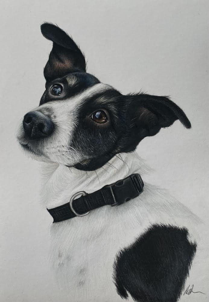 48B6F2D6-CFCF-409E-B0E7-71F205A0E791