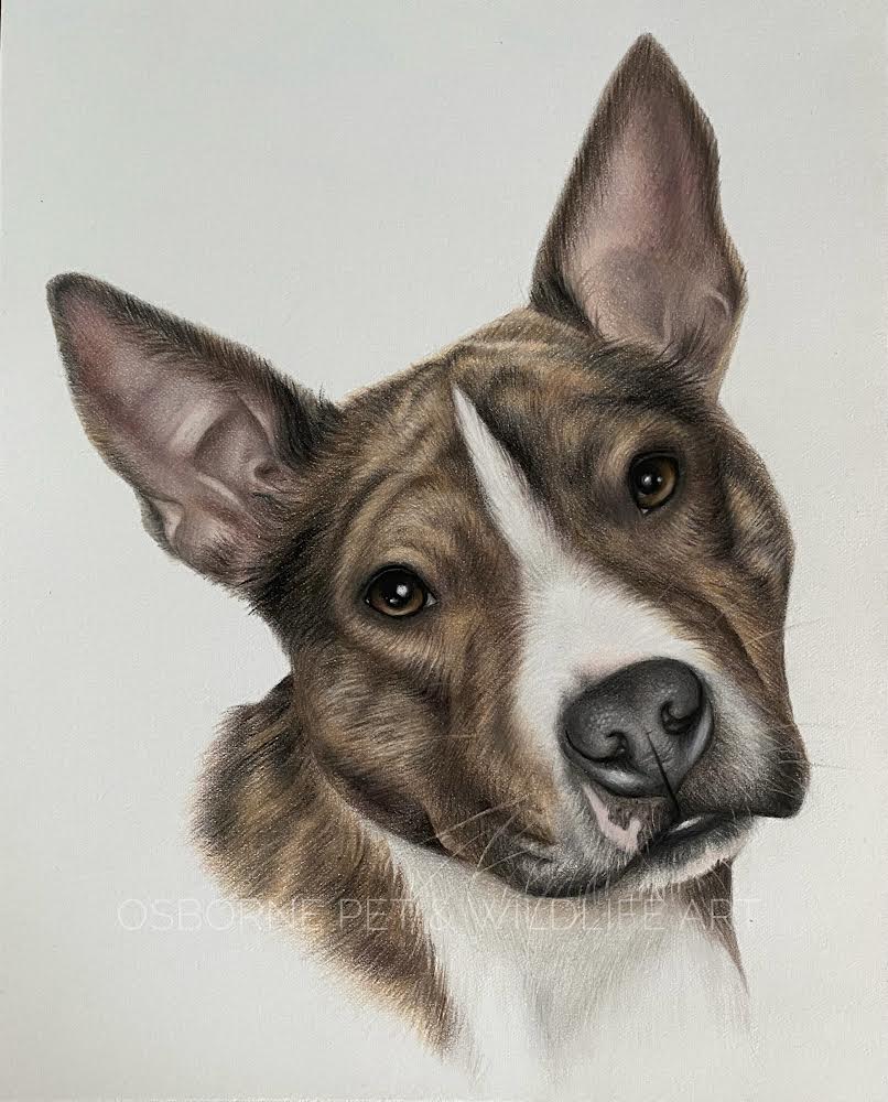 9EAD1EC2-A136-4E95-8C12-E1BBEF409289