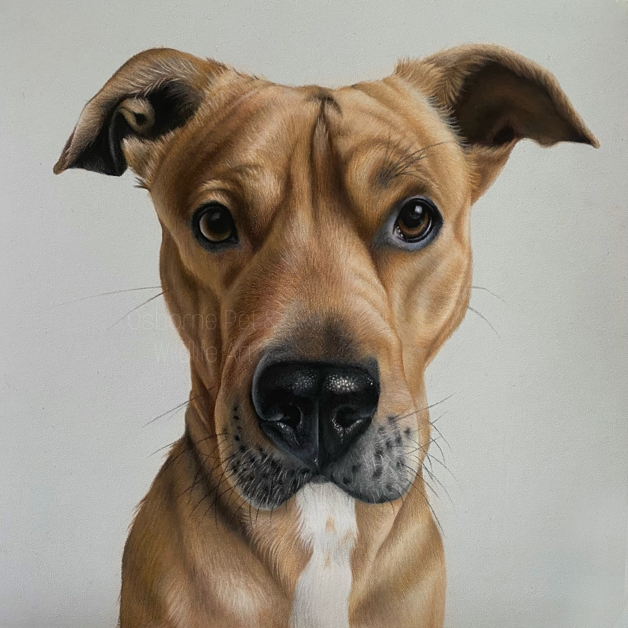 A2D68972-B74F-4DCC-85CE-F2ECB63363F5