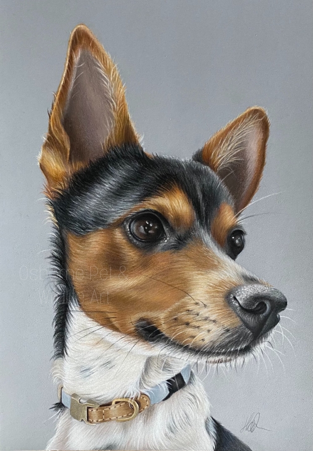 C52E8DEB-9CCD-4B6A-A2CB-89C6A866E18C