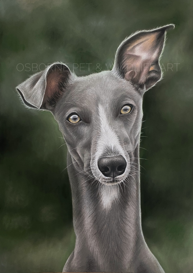 2CF0561D-83DC-487F-A159-E2119E89E2A8