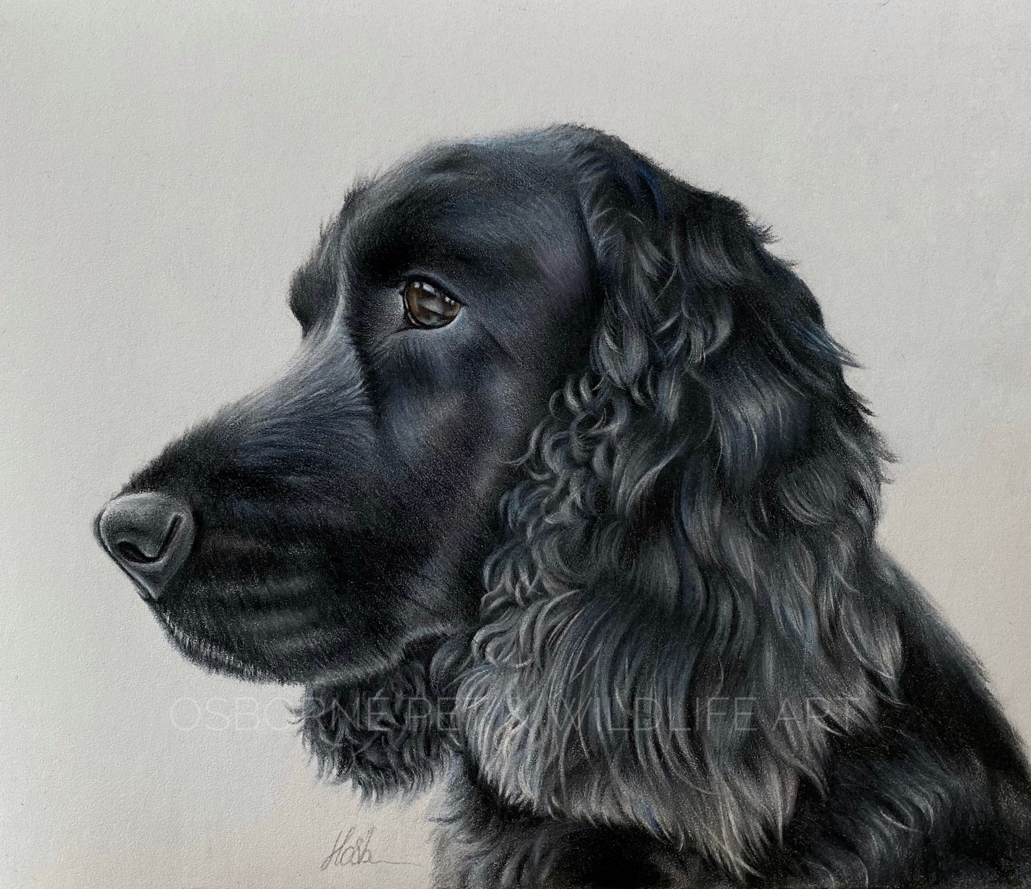 B9332DAE-8644-47E5-9468-D77B78B9F341