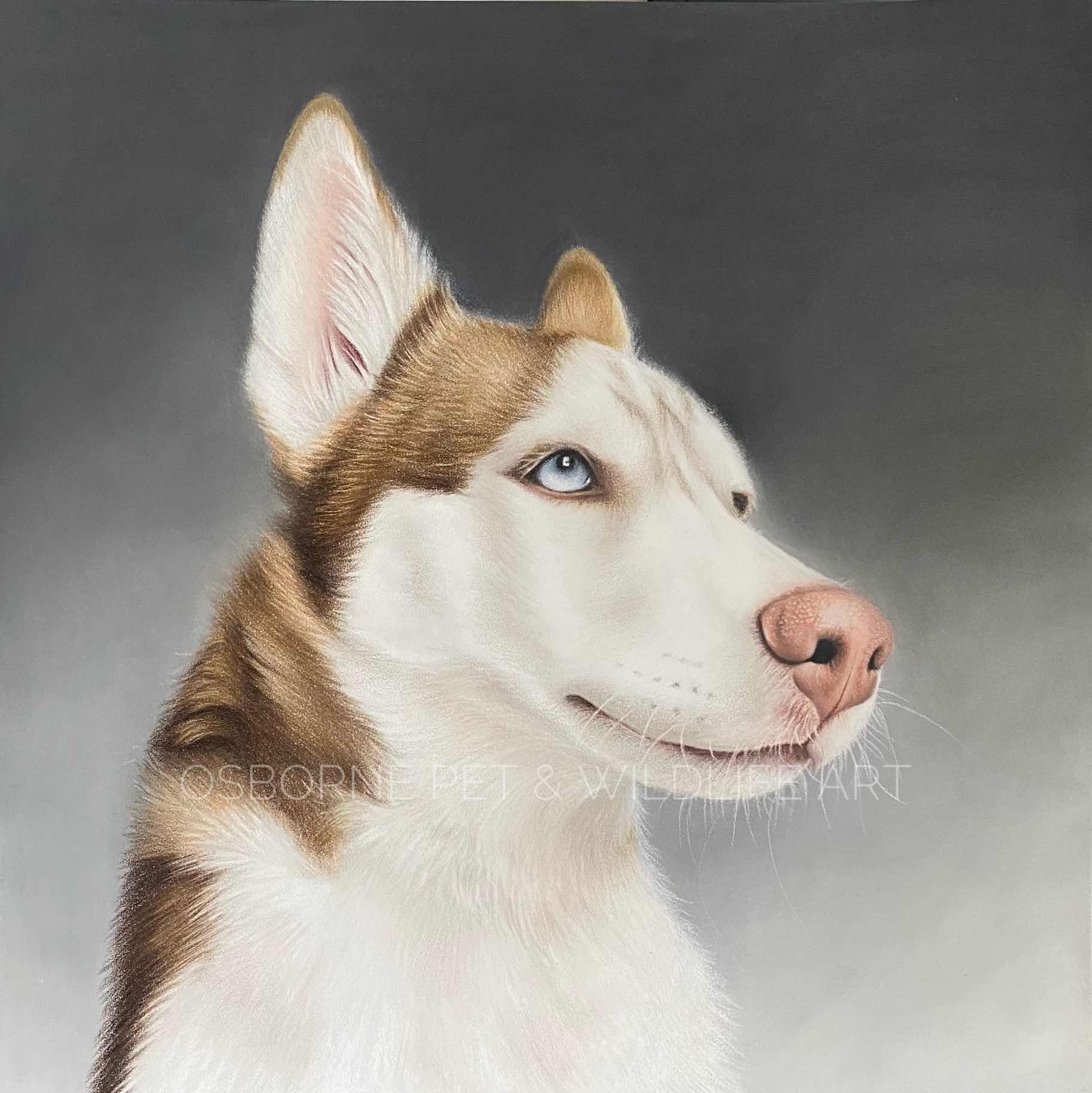 113FDE87-B9DF-468A-B971-A223B5168767