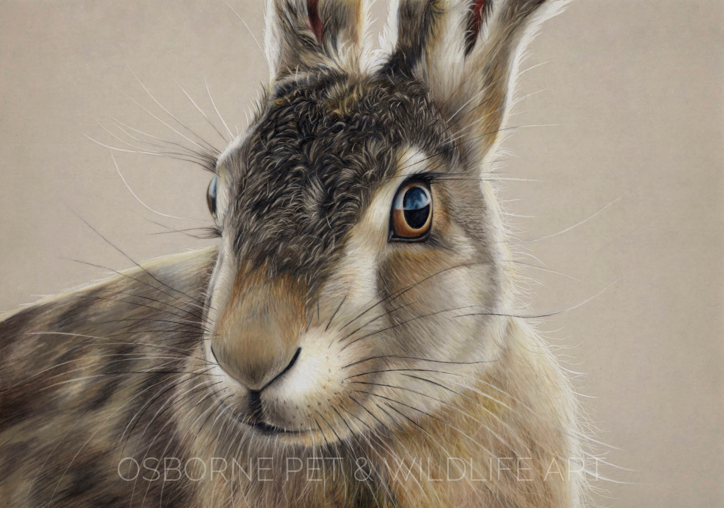 87AAF88B-2572-4A52-B31B-62E110236C8A