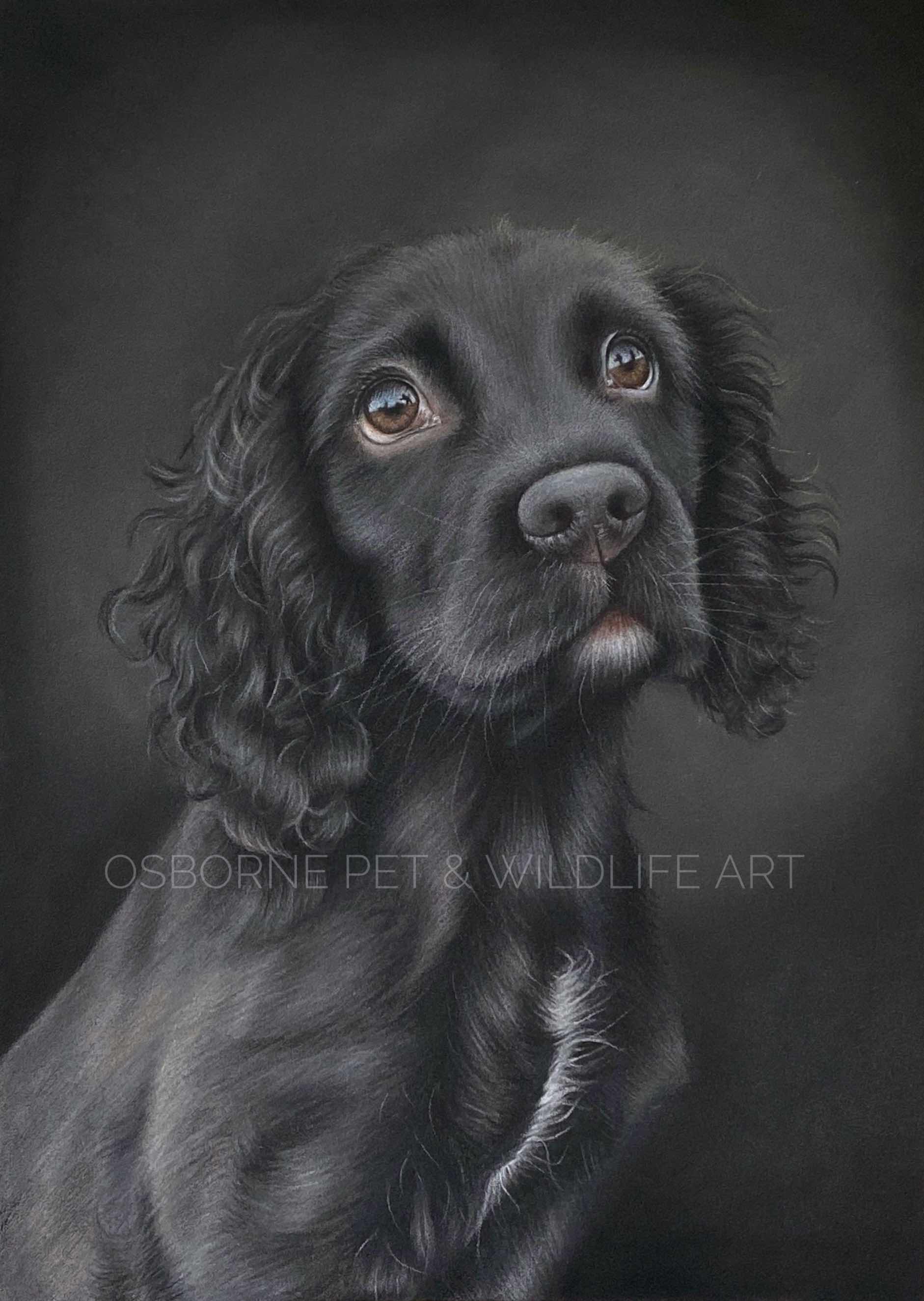 A79373BD-A017-409A-B387-C5E4425B37ED