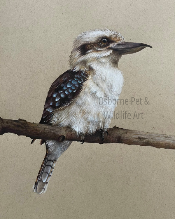 Osborne Pet & Wildlife Art (1)