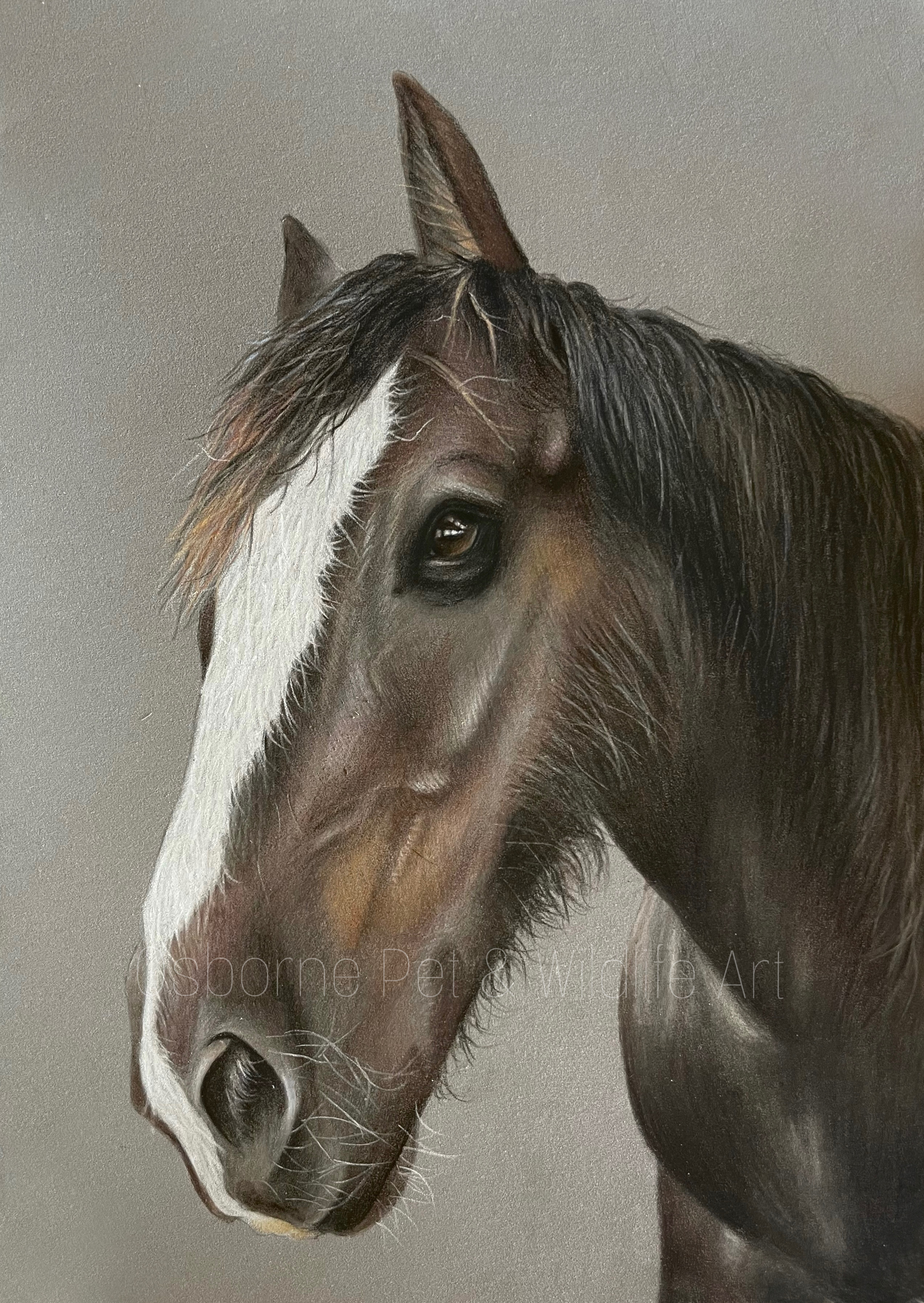 054DC2E2-6461-4205-B2B6-F2BFF089488D